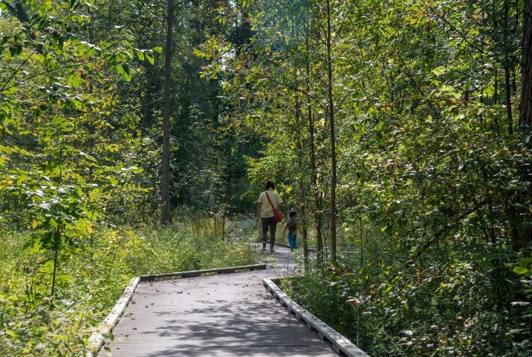 Great Lakes Forestry Centre Arboretum , Canada